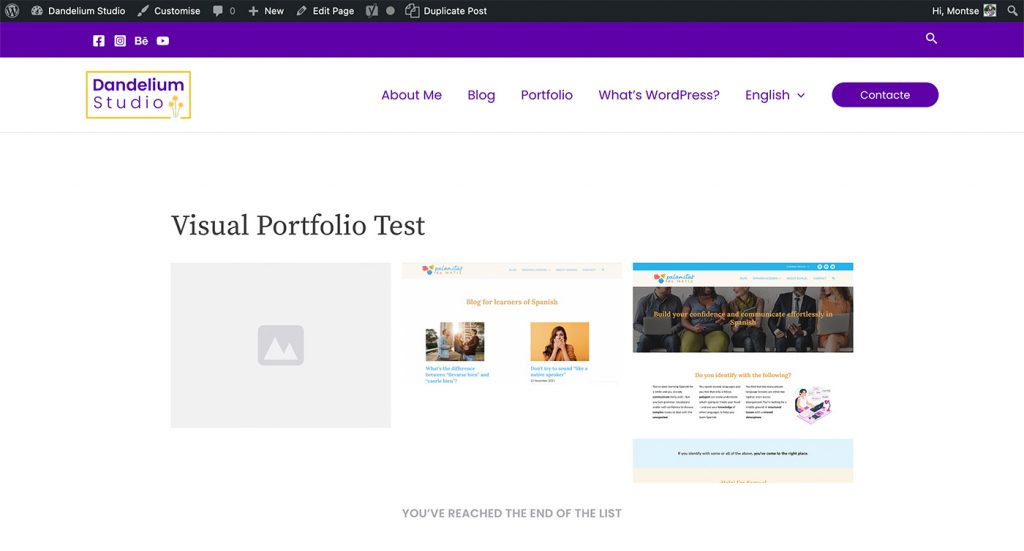 Screenshot of a portfolio created by Visual Portfolio by nK. The top of the image shows the menu, and the main body shows the portfolio. The portfolio items are placed on a grid and are represented by an image each.