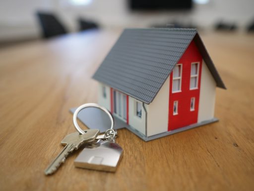 A key ring in the form of a 3D house. It also holds a key.